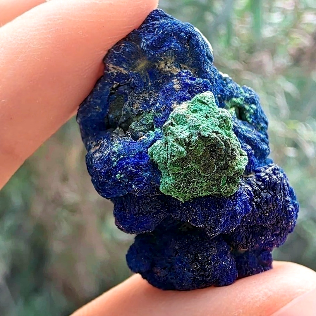 Sparkling Azurite Blueberry with Malachite Cluster - Utah