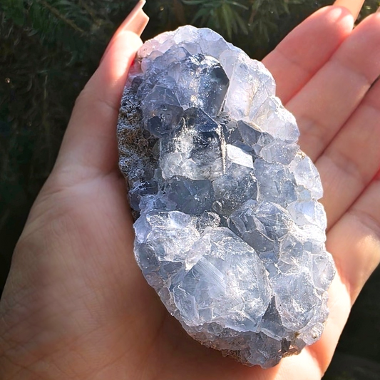 Celestite Crystal Cluster - 257g