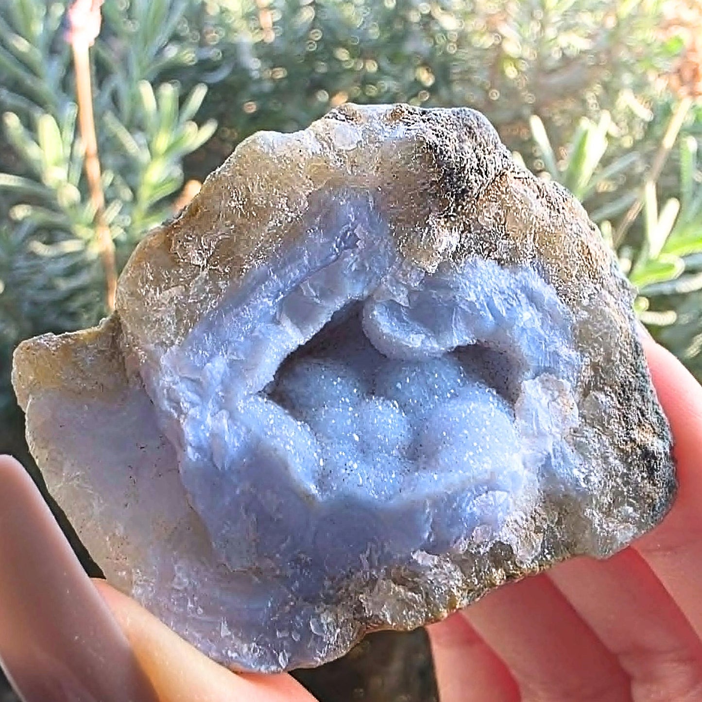 Druzy Botryoidal Blue Lace Agate with Mica Cluster