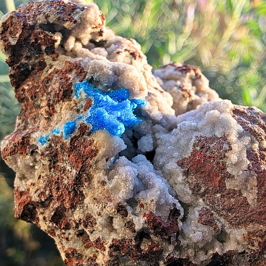 Rare pentagonite crystals on druzy chalcedony with iron-rich basalt matrix from the Deccan Traps, Maharashtra, India