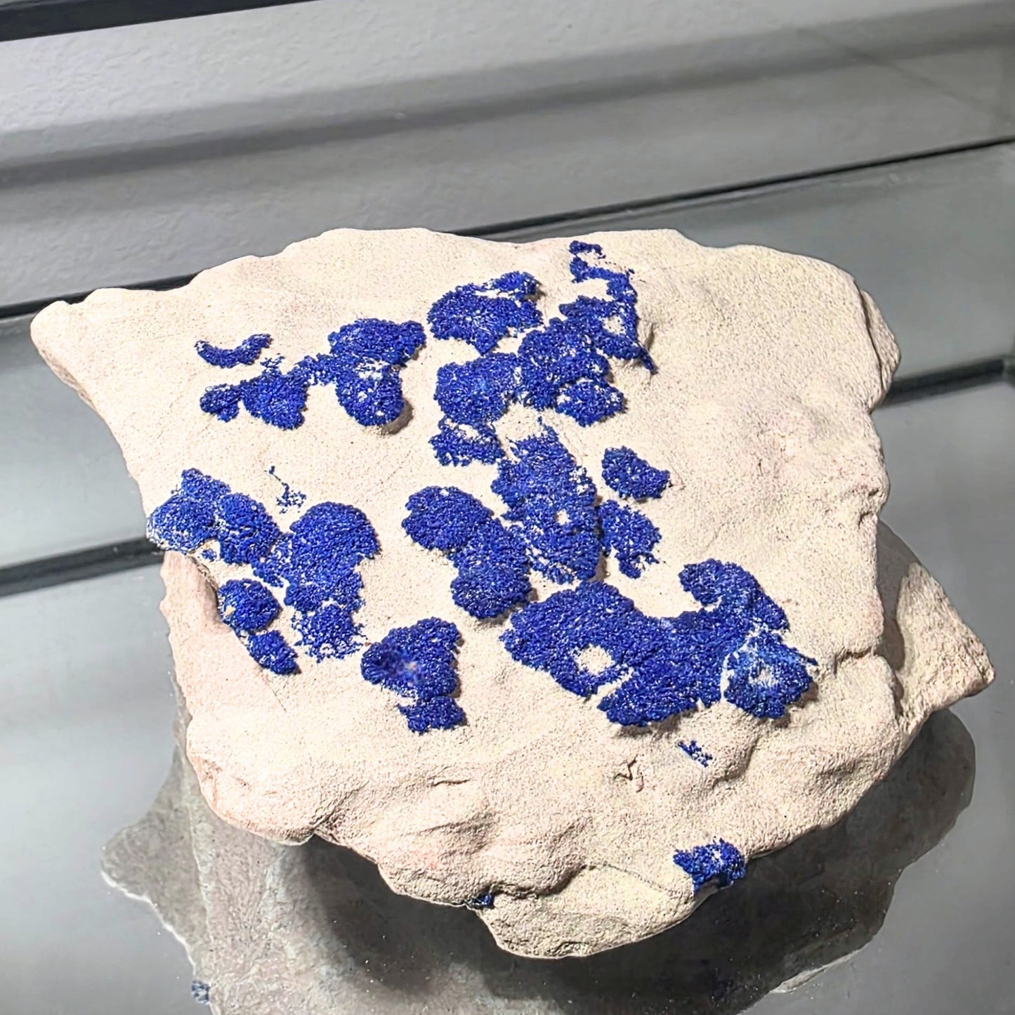 Druzy Azurite Suns Specimen Cluster - 8cm Malbunka Copper Mine, NT