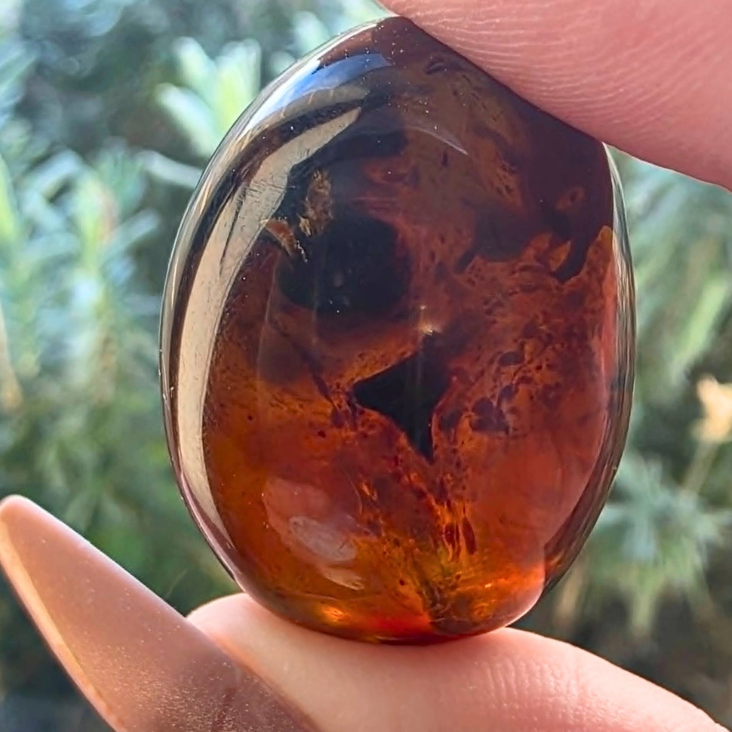 Genuine Fossilised Blue Amber Egg