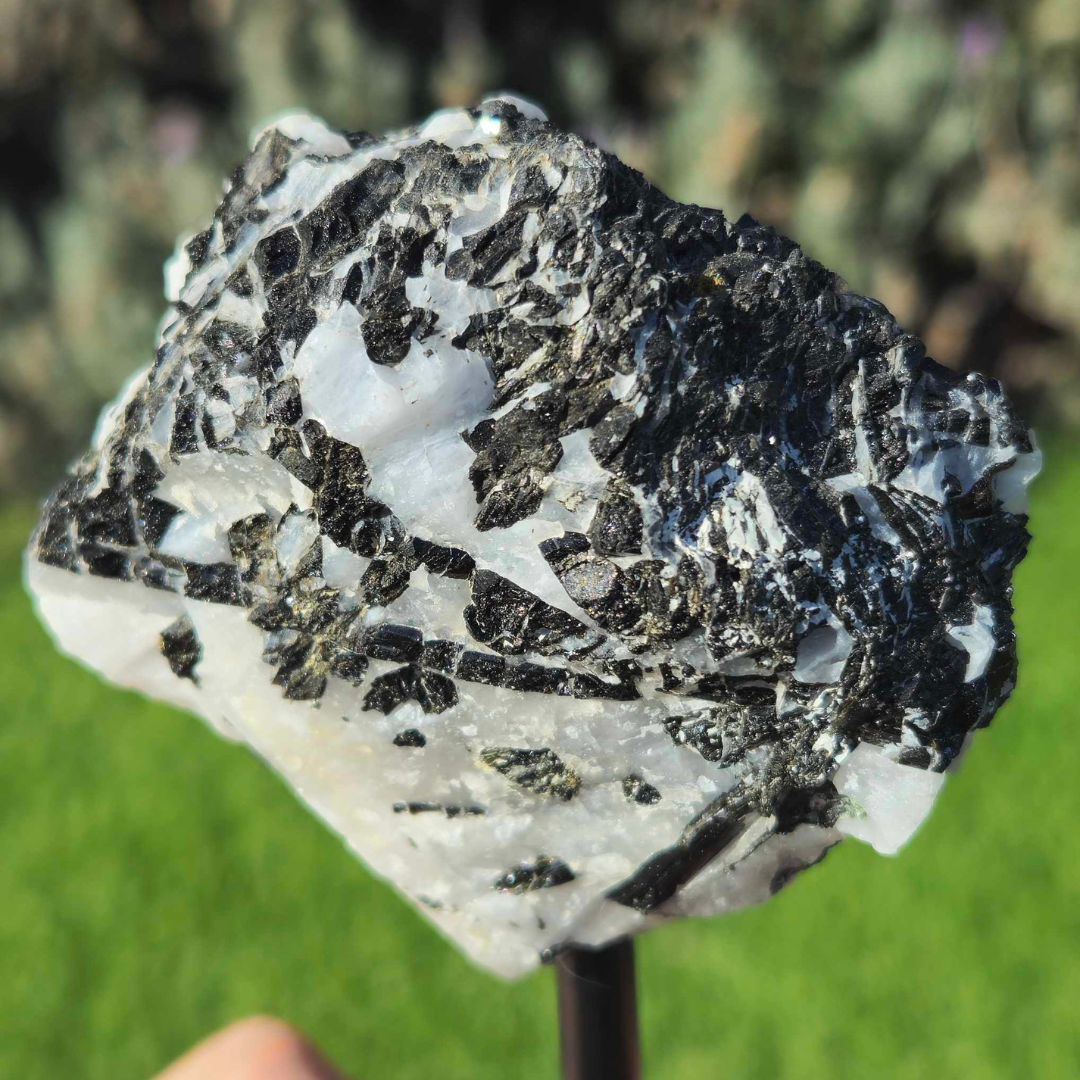 Black Tourmaline in Quartz on Metal Stand