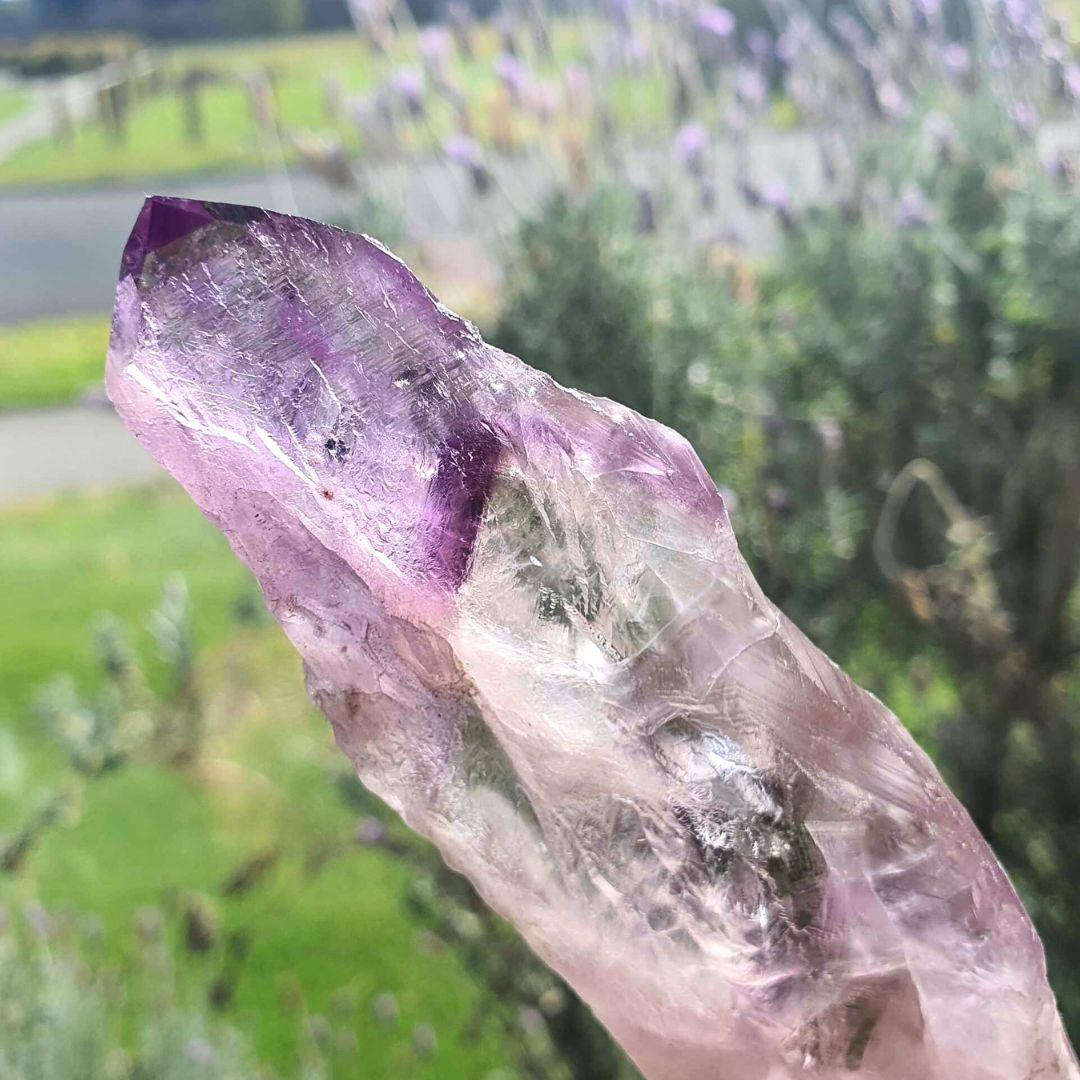 Amethyst Tooth Natural Wand ~13cm long