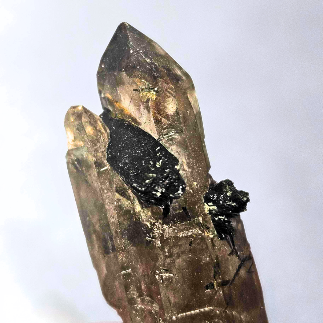 Smoky Quartz with Black Tourmaline Specimen