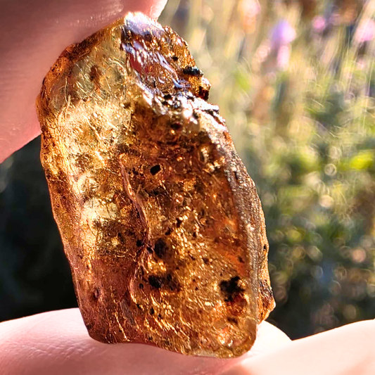 Genuine Raw Baltic Fossilised Baby Amber - UV Reactive
