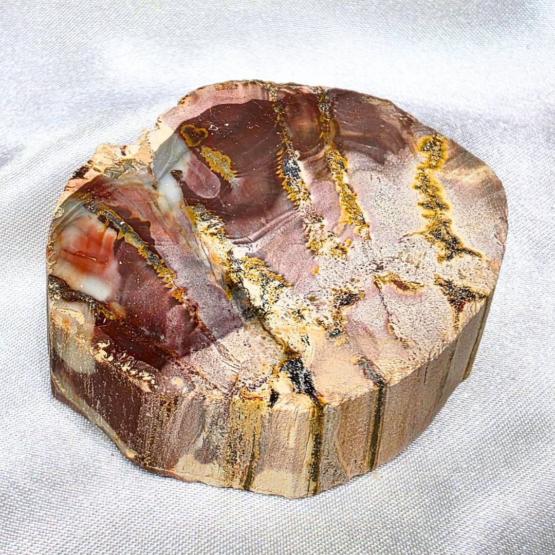 Semi-Polished Petrified Wood  with Agate Crystal