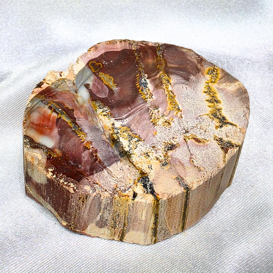 Semi-Polished Petrified Wood  with Agate Crystal