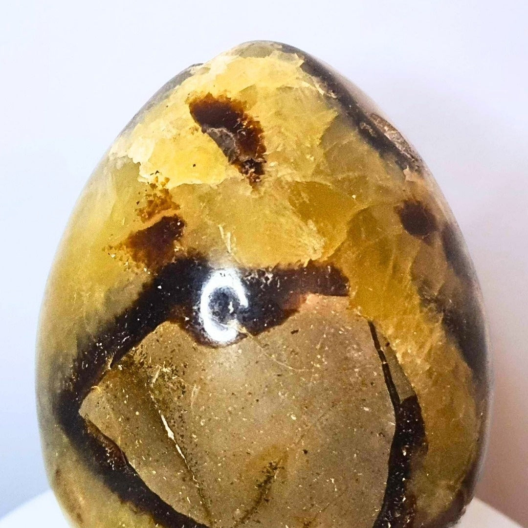 Large Septarian Dragon Crystal Egg - 316g