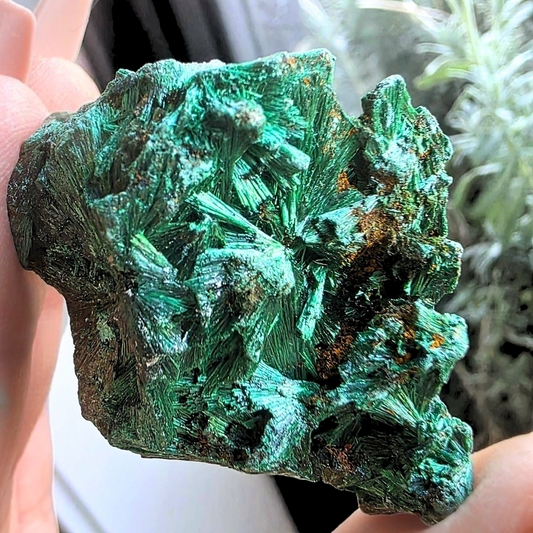 Velvet & Fibrous Malachite Cluster
