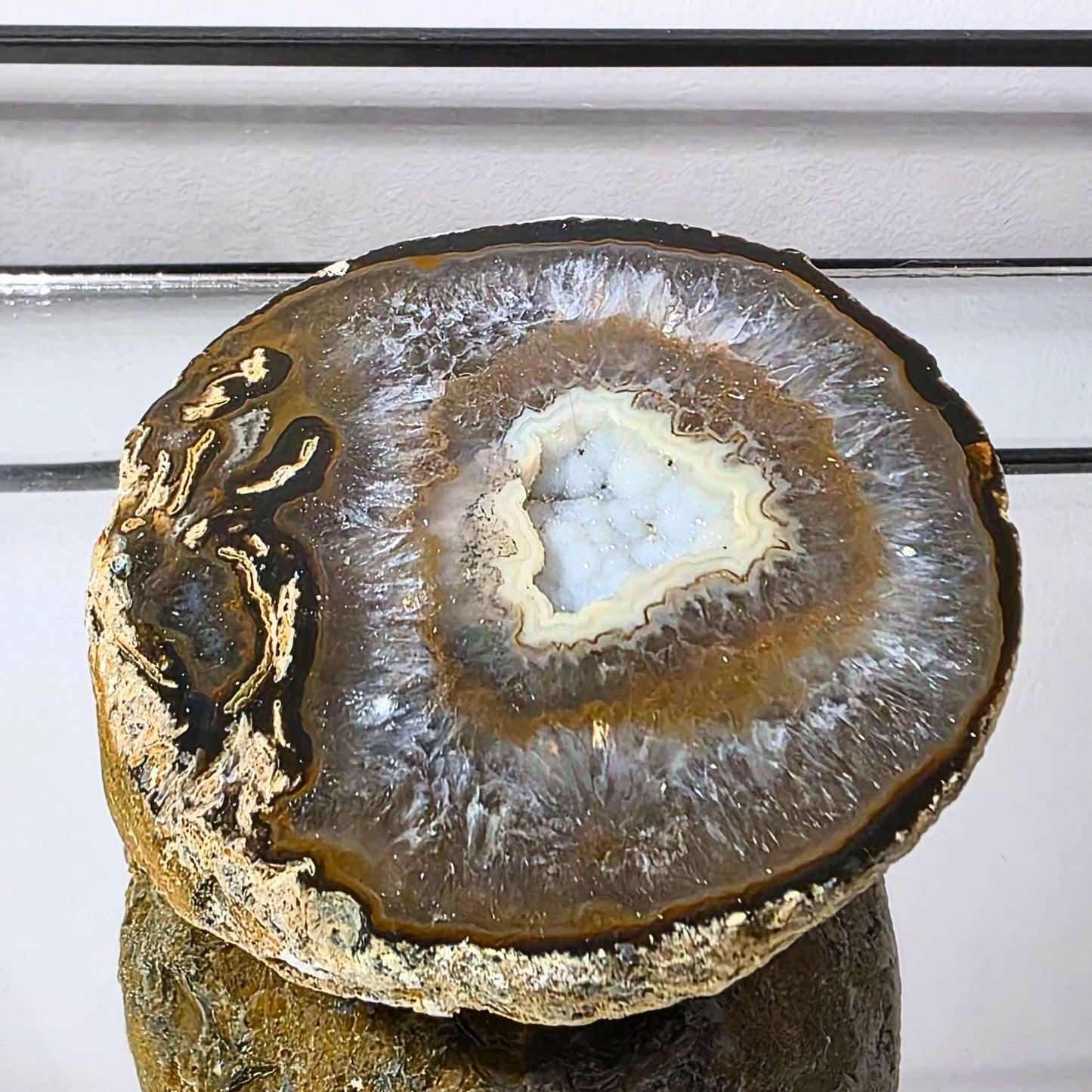 Large Semi-Polished Agate Geode with Botryoidal Chalcedony & Druzy Quartz