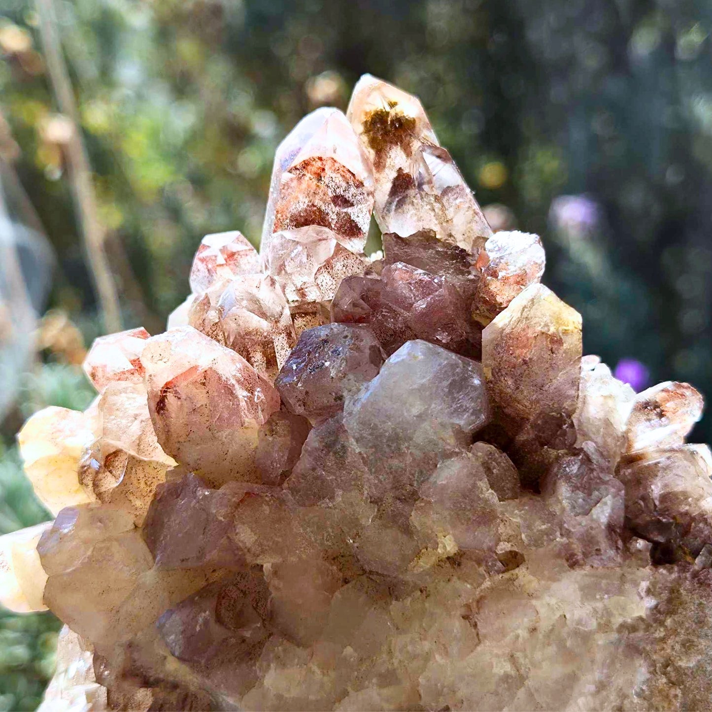 XL Phantom Red Hematite in Clear Quartz Cluster - 418g