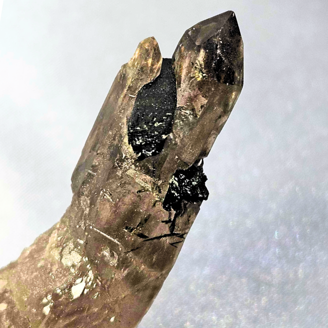 Smoky Quartz with Black Tourmaline Specimen