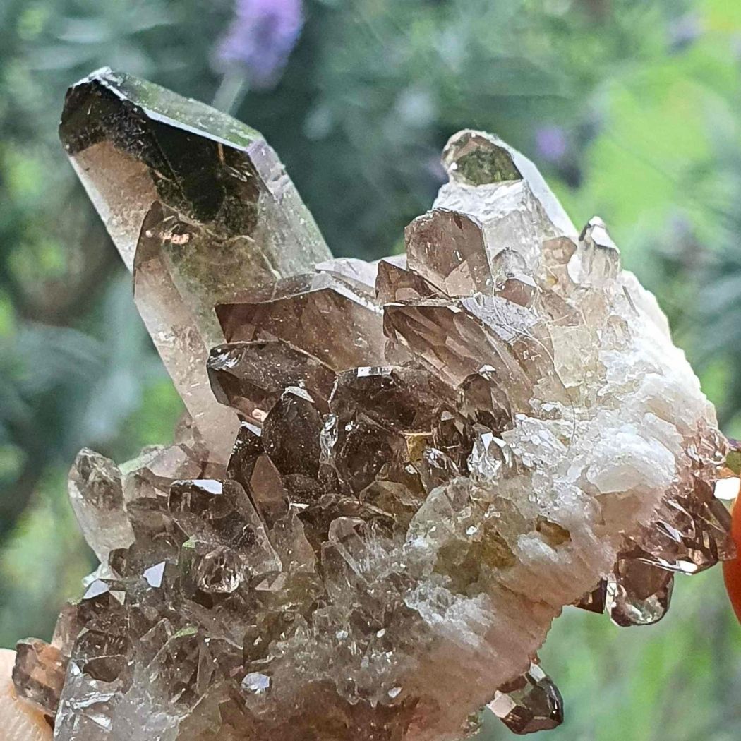 Smoky Quartz Cluster