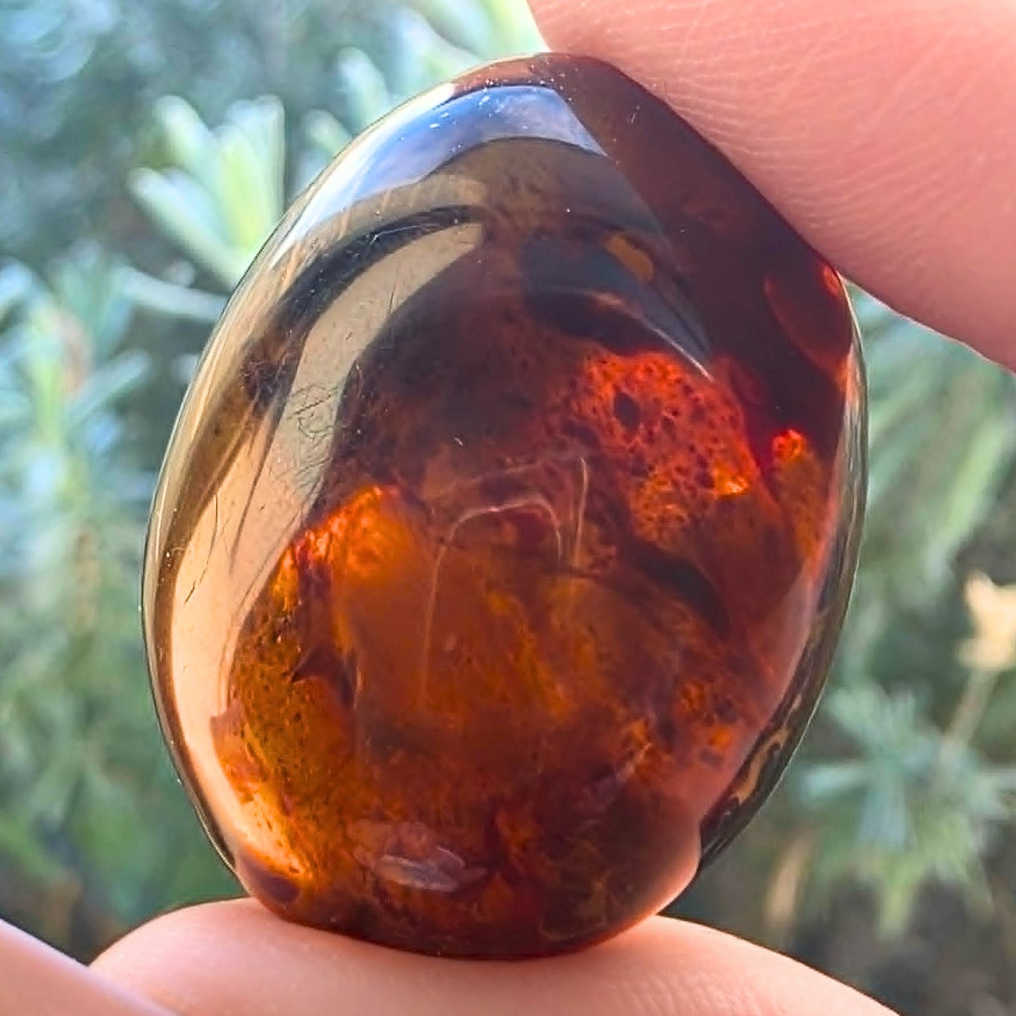 Genuine Fossilised Blue Amber Egg