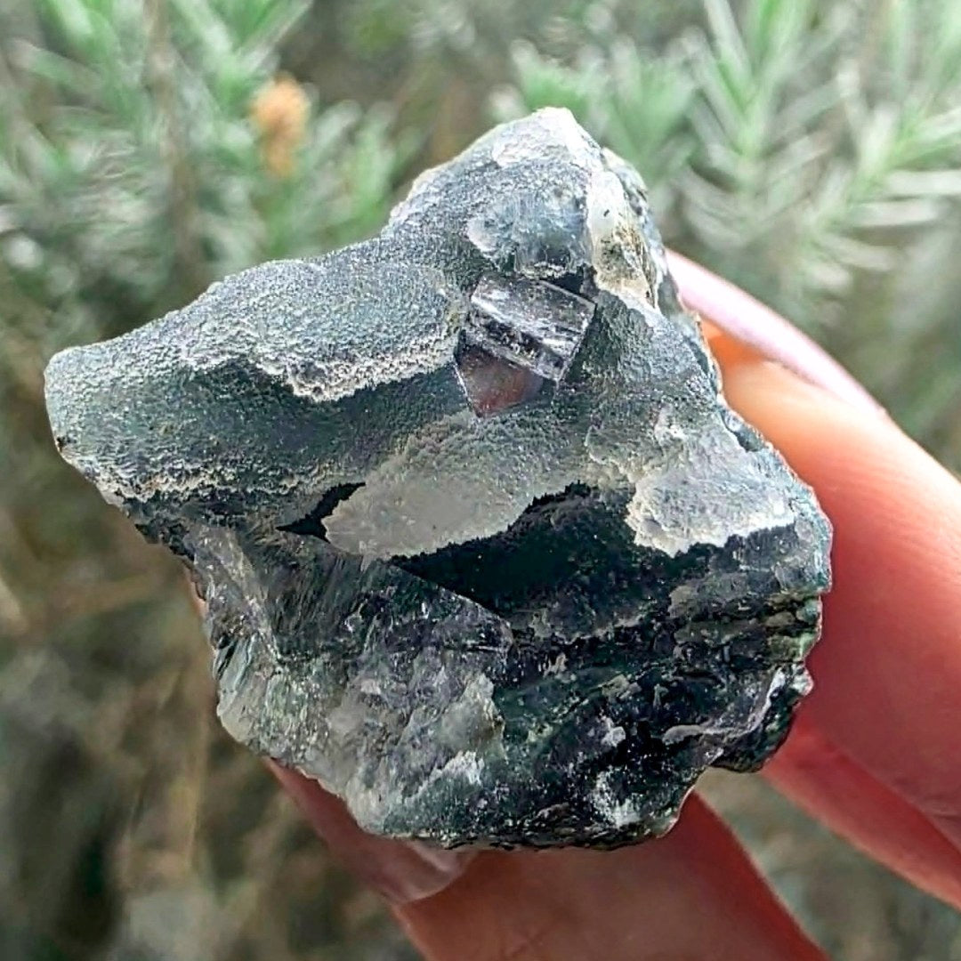 Black Stalactitic Chalcedony with Apophyllite Crystal Specimen