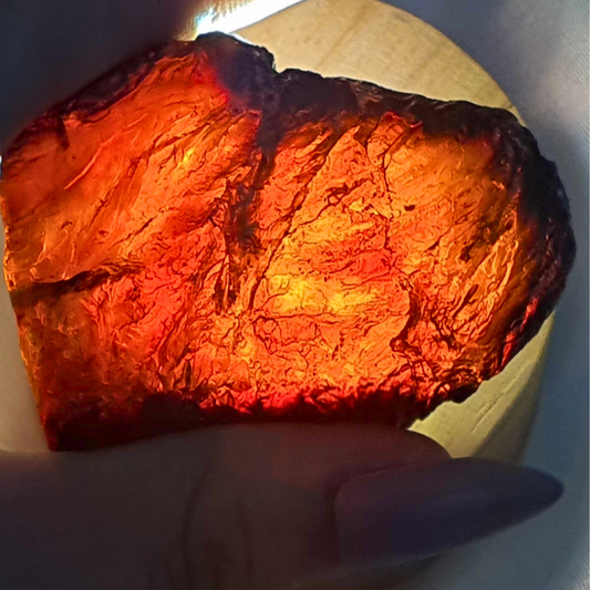 Genuine Baltic Fossilised Amber Raw