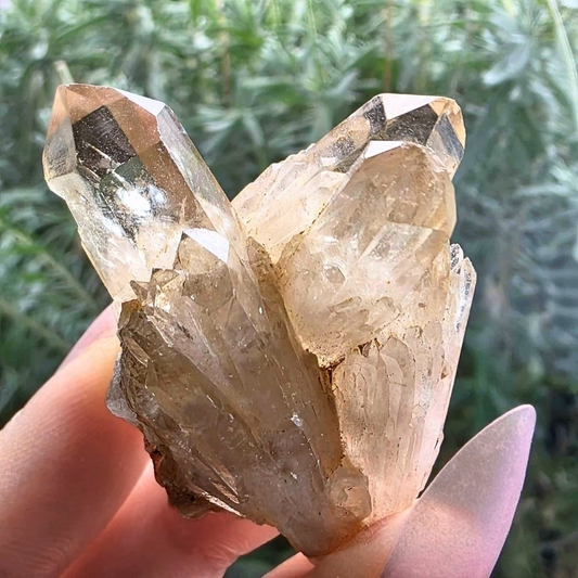 Natural Kundalini Citrine Cluster with Phantom
