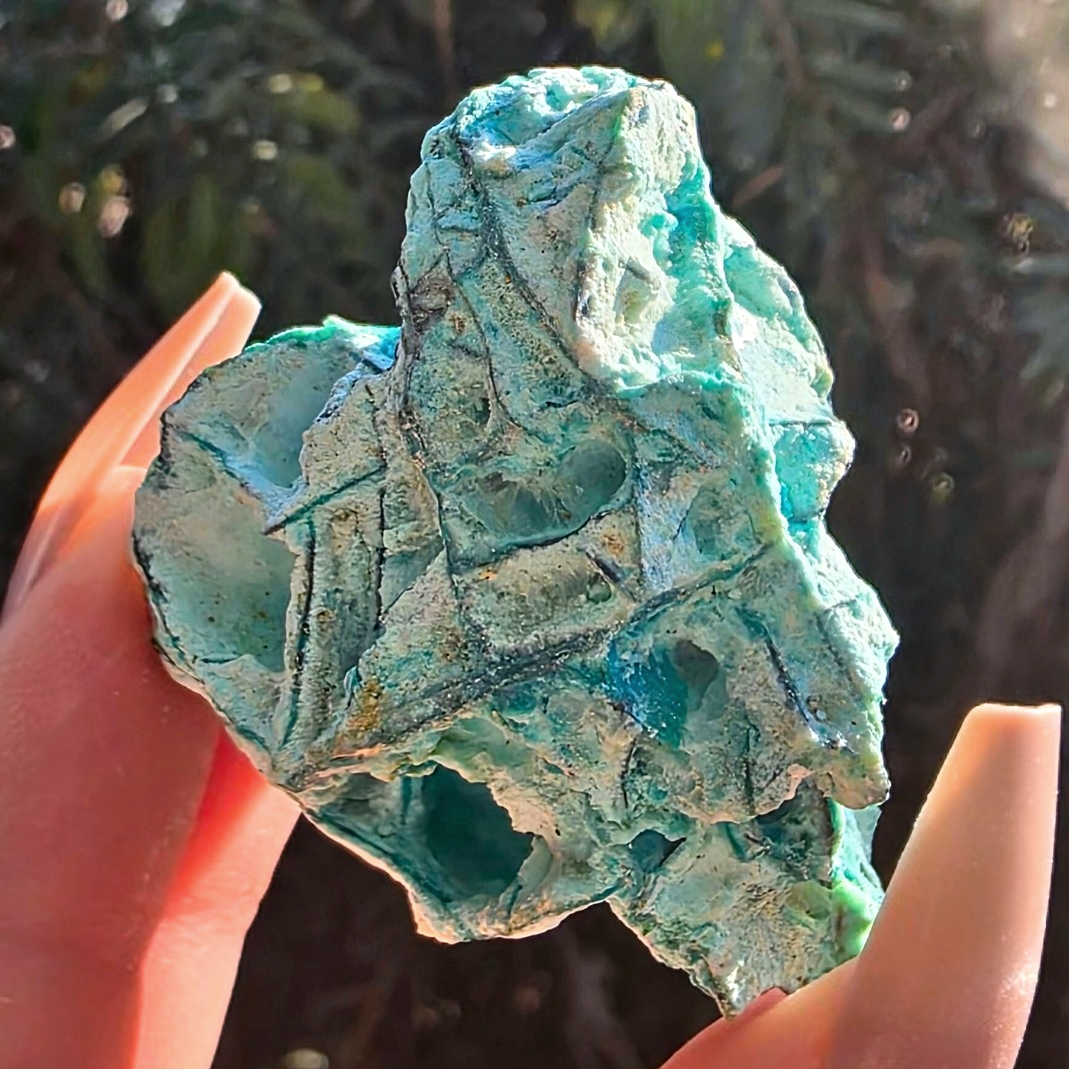 Chrysocolla with Secondary Growth Specimen - Mexico