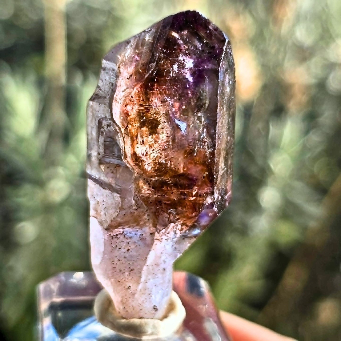 Rare Super Seven (Melody Stone) Crystal Sceptre - Brazil
