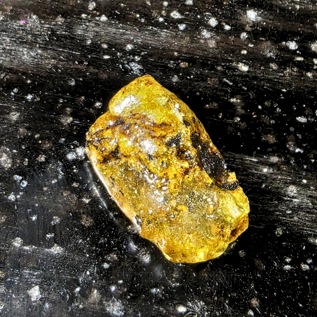 Genuine Raw Baltic Fossilised Baby Amber - UV Reactive