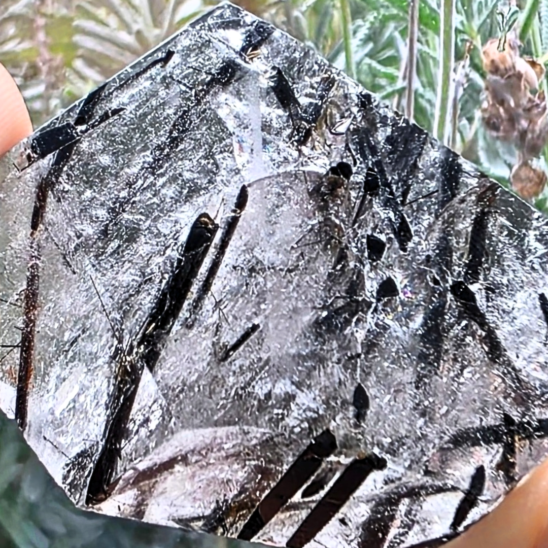 Black Tourmaline in Quartz Freeform with Rainbows