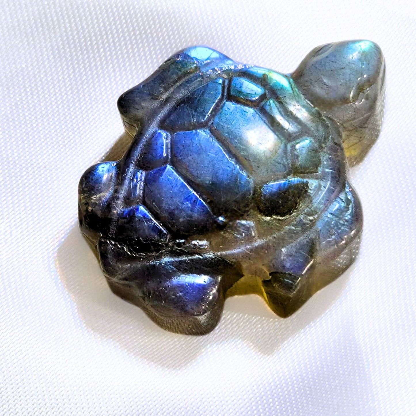 Labradorite Turtle Carving with High Flash