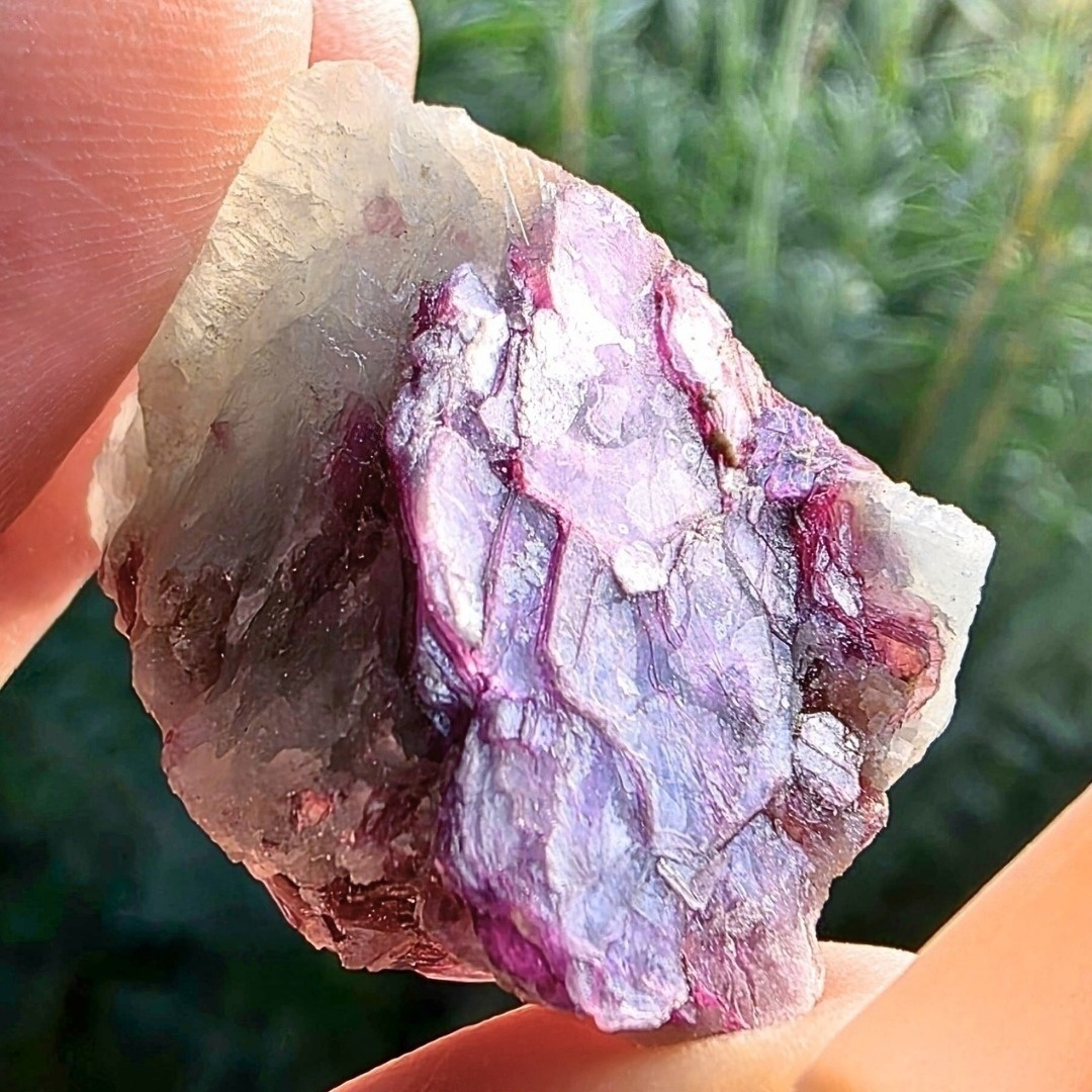 Lepidolite, Quartz & Mica Cluster