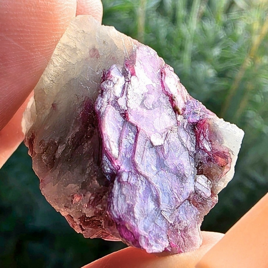 Lepidolite, Quartz & Mica Cluster