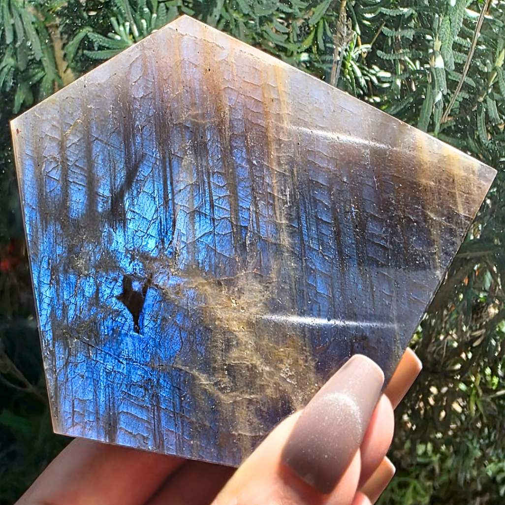 High Grade Blue Moonstone Slab - includes holder