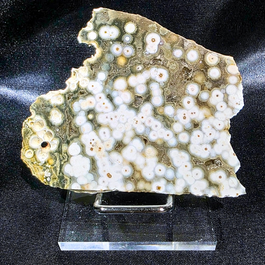 Druzy Orbicular Ocean Jasper Slab with Holder