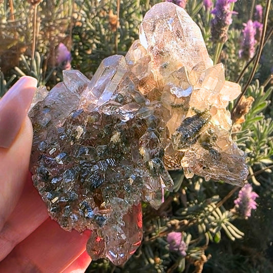 Rare Faden Garden Quartz Cluster with Chlorite & Rainbows