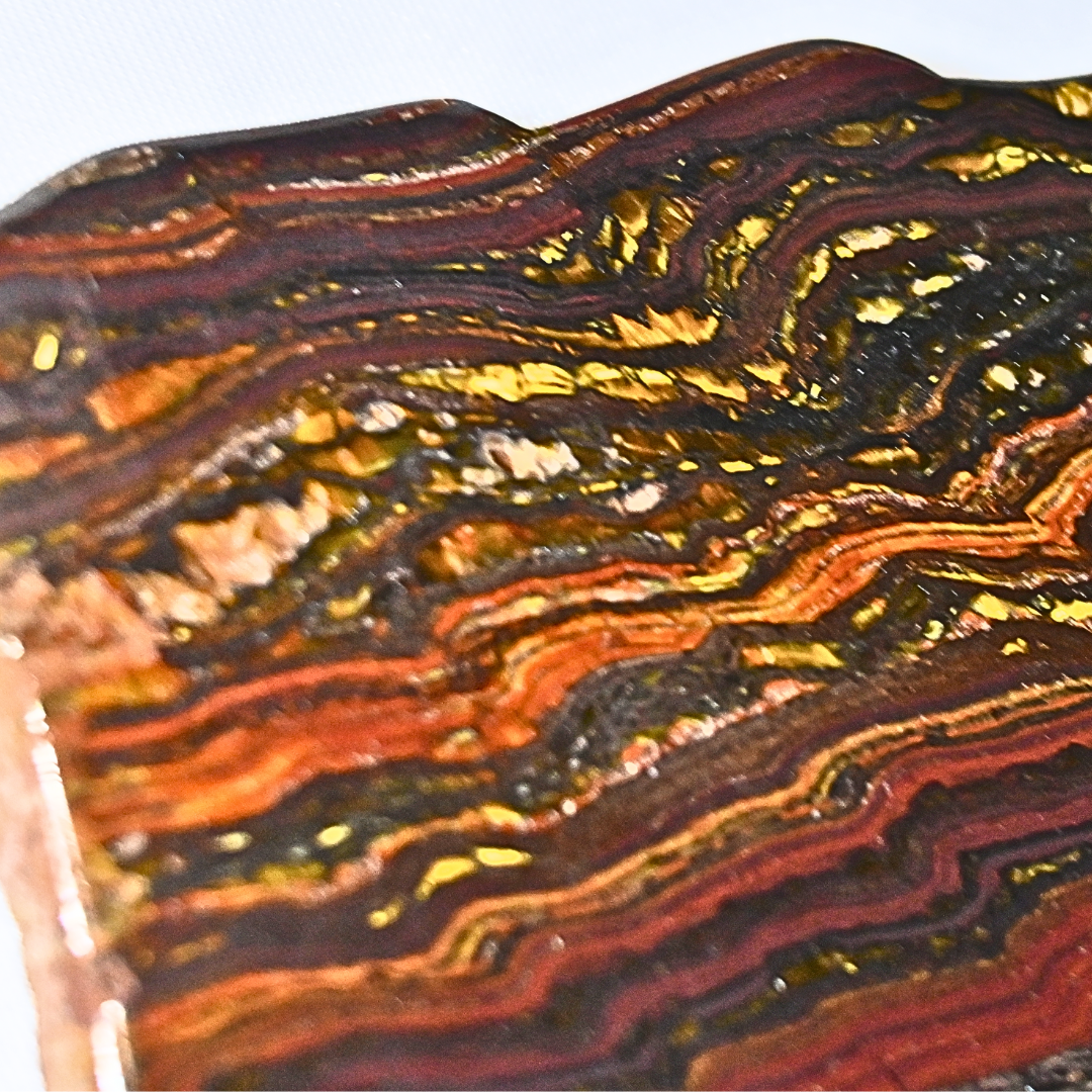 Rare Tiger Iron (Hematite/Magnetite, Red Jasper & Tiger Eye) Slab - Western Australia