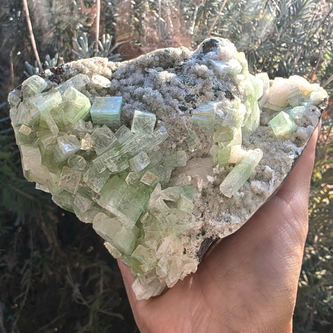 High Grade Rare Green Apophyllite on Chalcedony Display Cluster - 630g