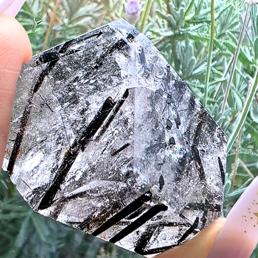 Black Tourmaline in Quartz Freeform with Rainbows