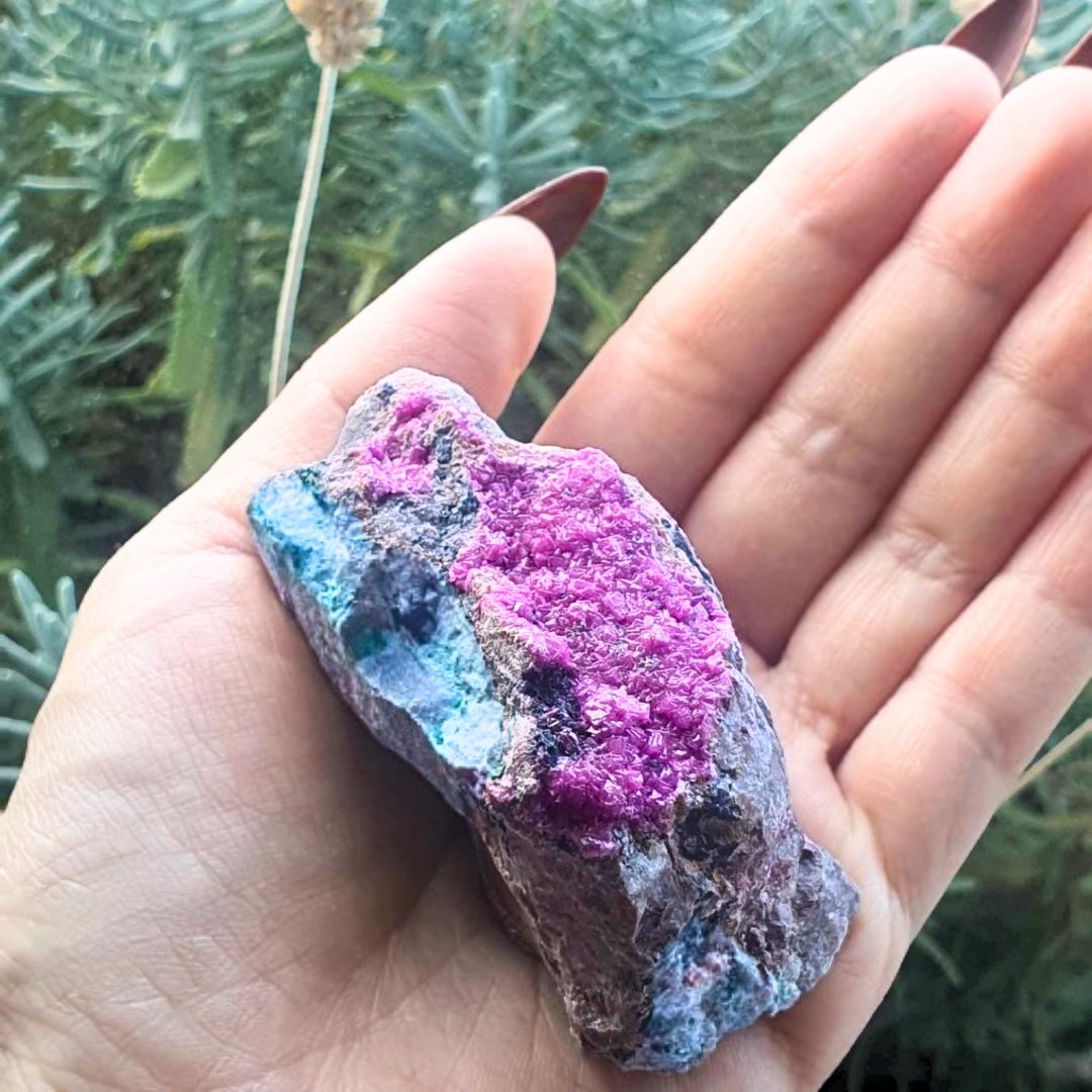 Cobaltoan Calcite (Salrose) with Malacolla & Black Dolomite Druzy Specimen