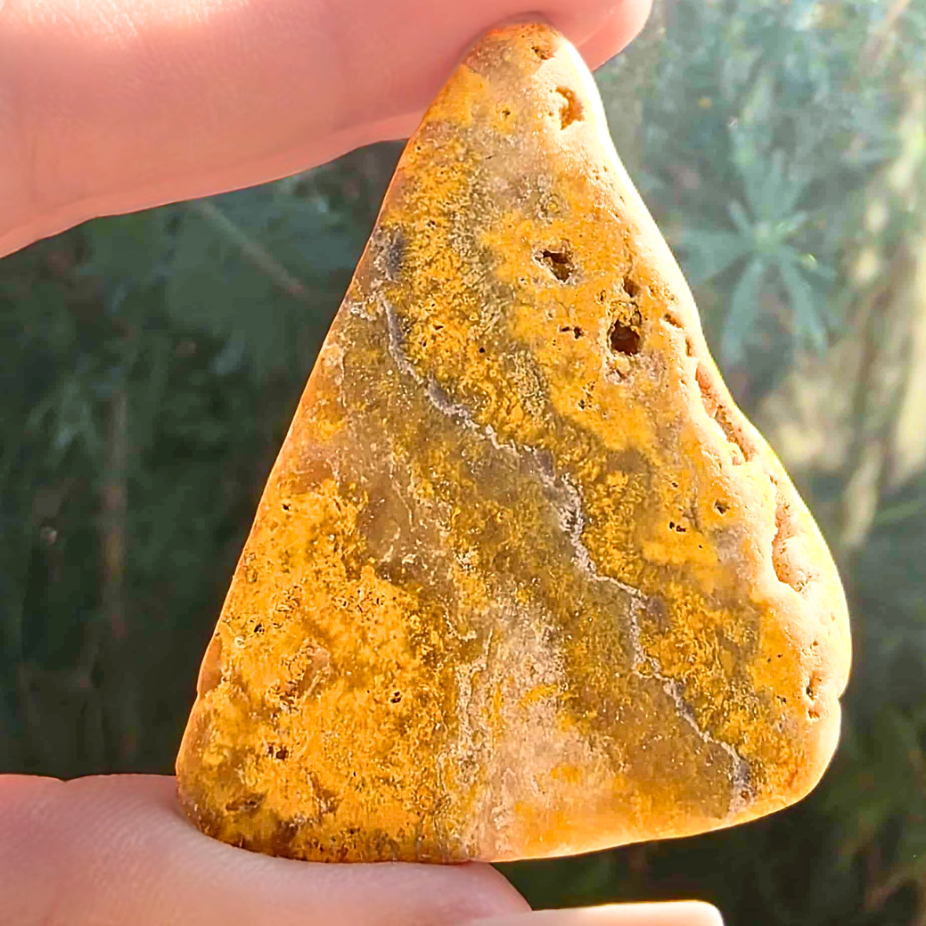 Rare Bumble Bee Jasper Raw Freeform