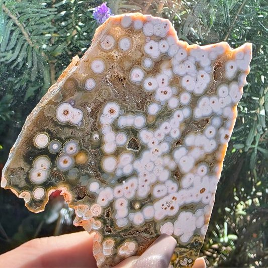 Druzy Orbicular Ocean Jasper Slab with Holder