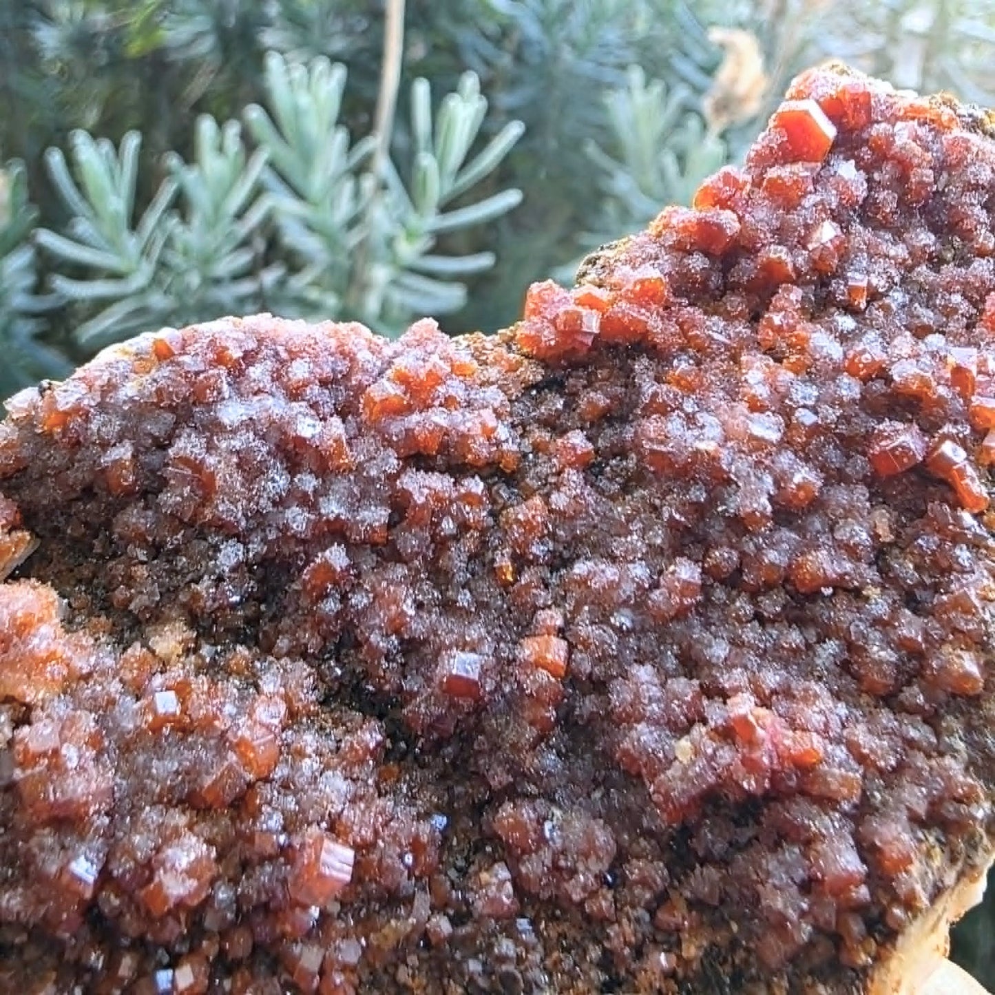 Large Vanadinite Crystal Mineral Specimen - 8.4cm - includes stand