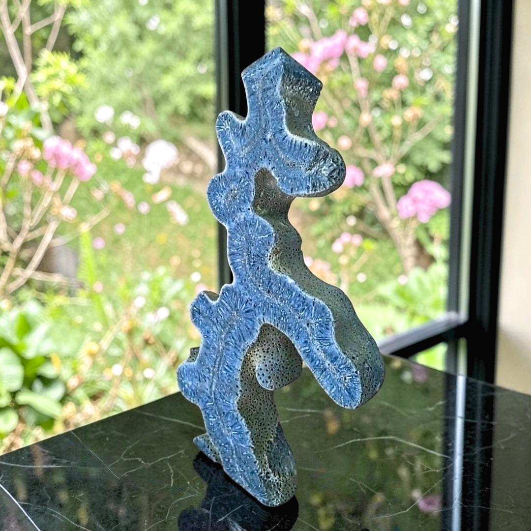 Natural Blue Fossilised Coral Specimen 13.3cm | Indo-Pacific Ocean Fossil