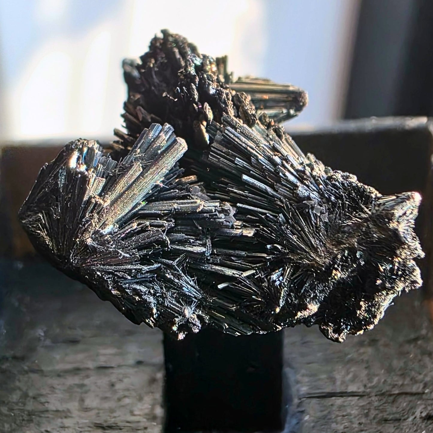 Collector Stibnite Crystal Spray Specimen - Romania