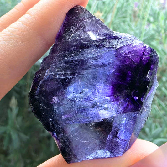 Rare Yindu Cubic Fluorite Cluster with Phantoms & Colour Zoning