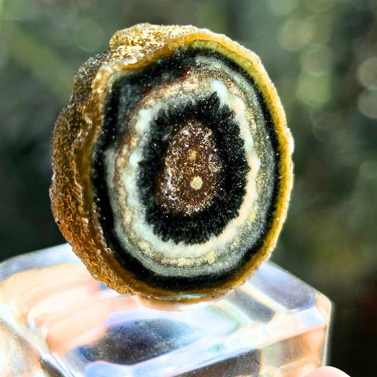 Prasiolite (Green Amethyst) Stalactite Crystal