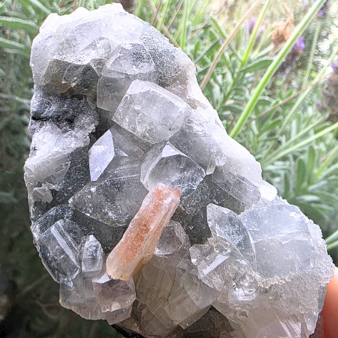 Diamond Cubic Apophyllite & Stilbite on Chalcedony