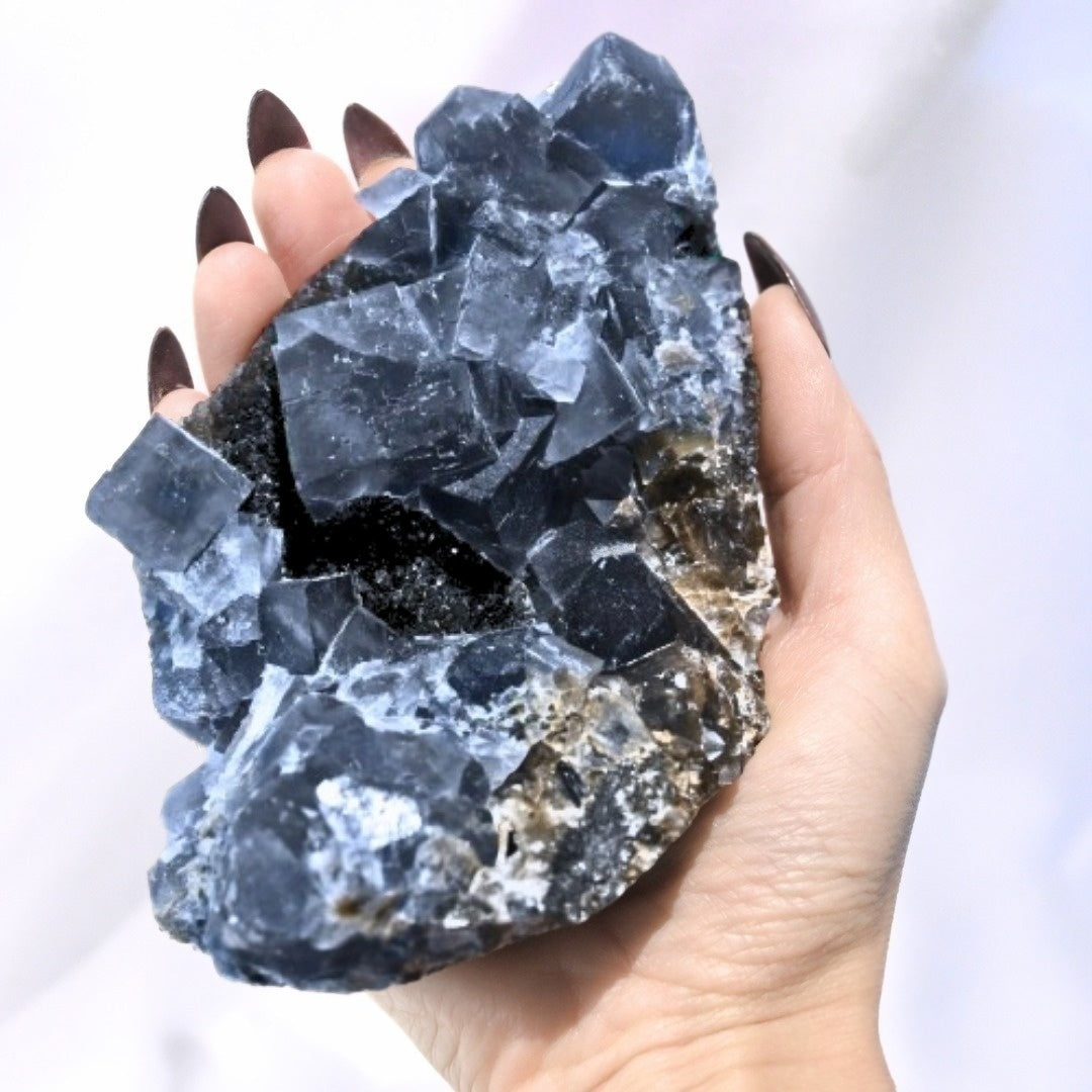Rare Blue Cubic Fluorite on Black Amethyst Cluster - 536g