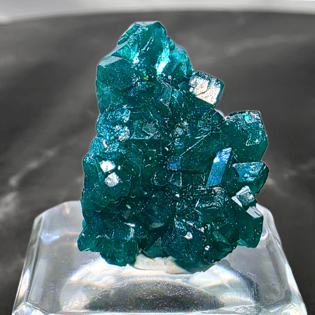 Rare Dioptase Collector's Crystal Specimen - Congo