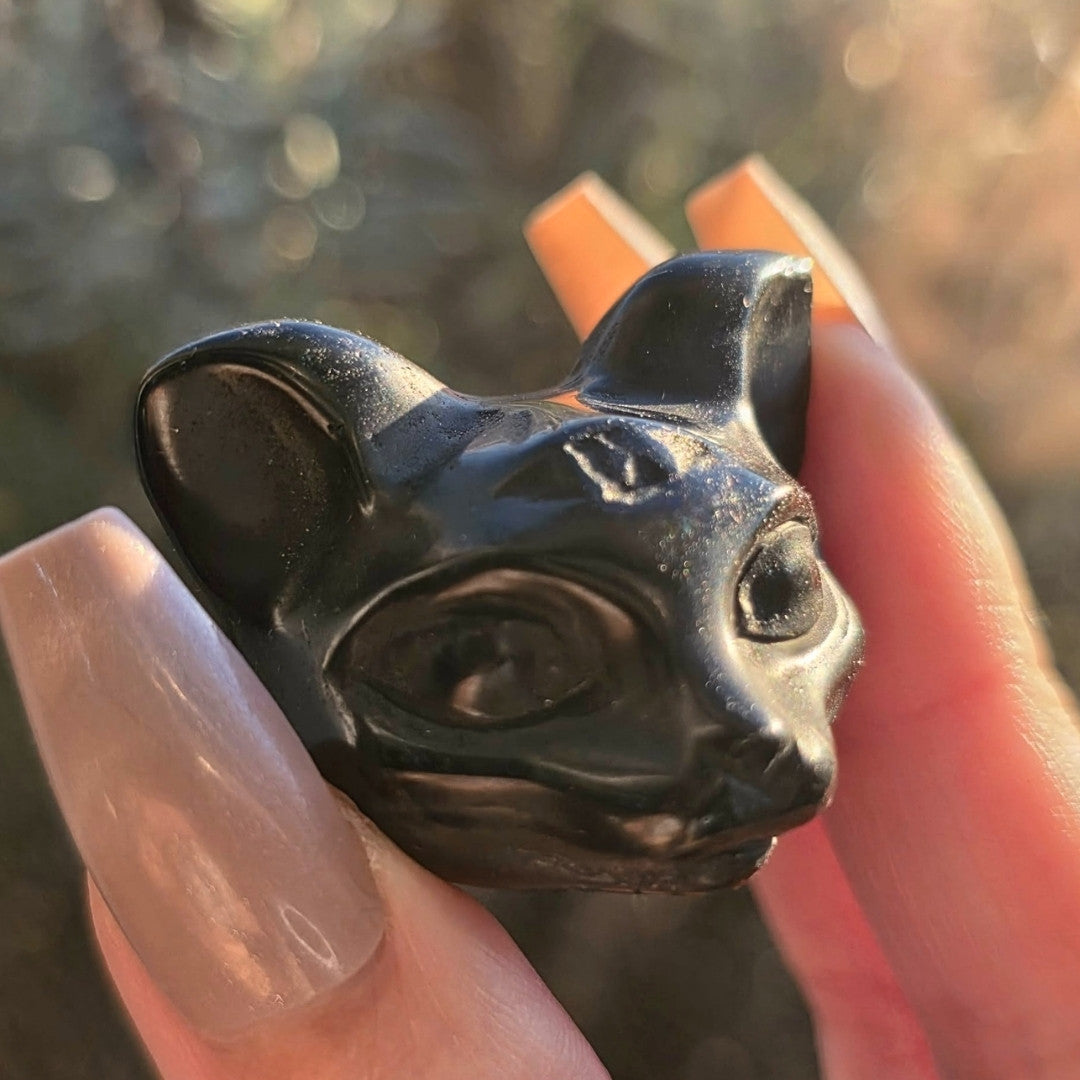 Black Obsidian Triple Eye Cat Protection Crystal Carving