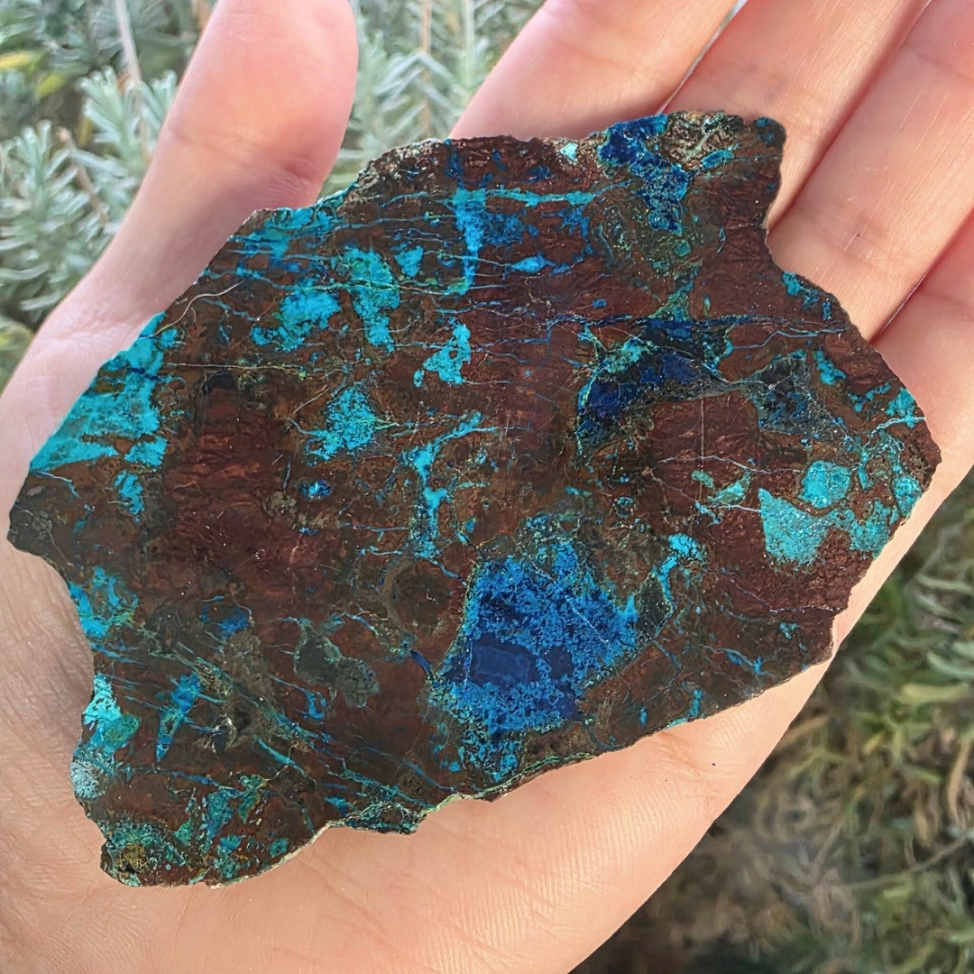 Rare Shattuckite Crystal Slab - with stand