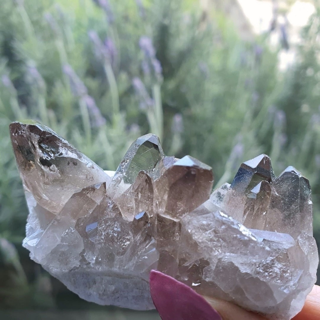 Smoky Quartz with Rutile Crystal Cluster