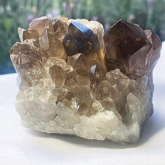 Smoky Quartz Crystal Cluster